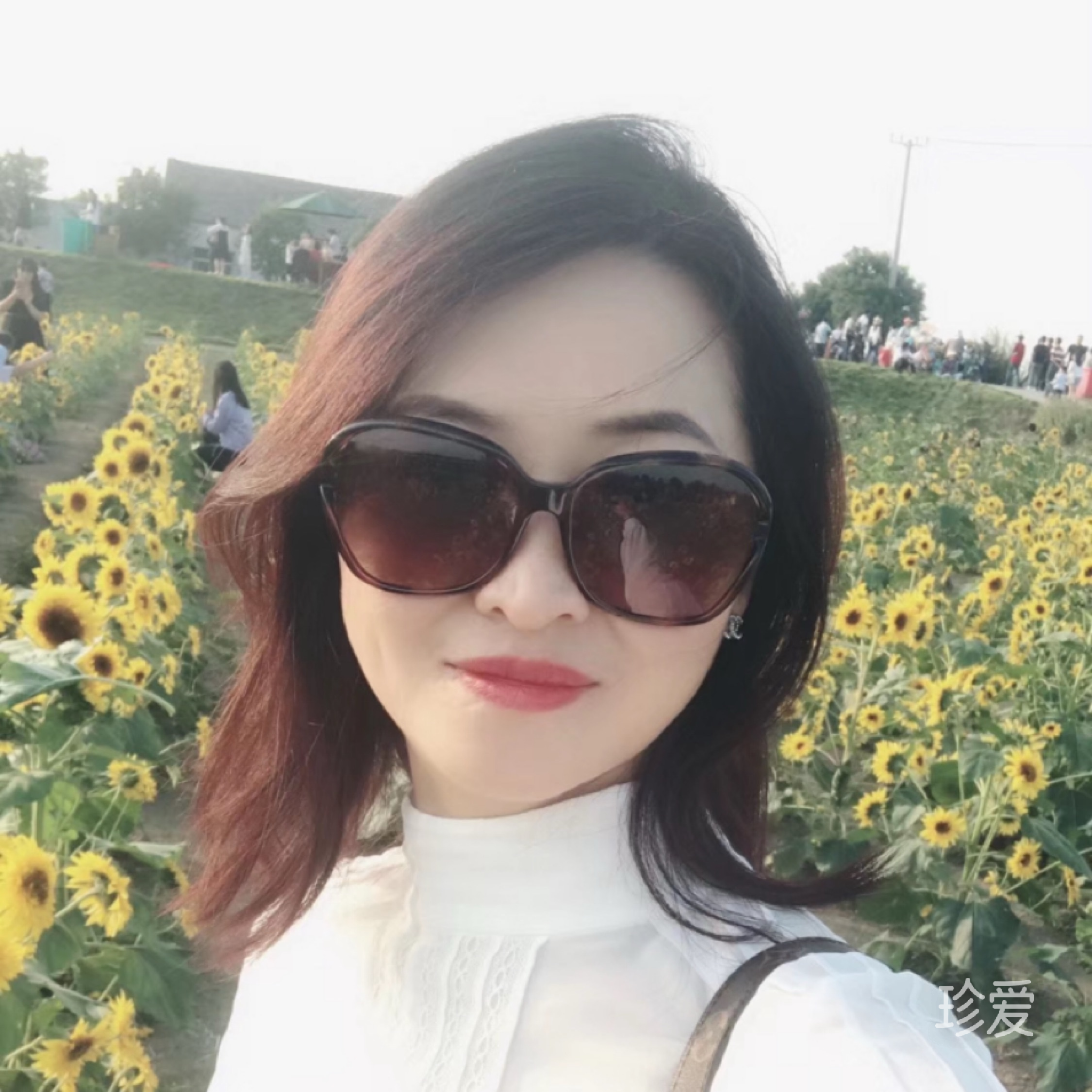 青藤