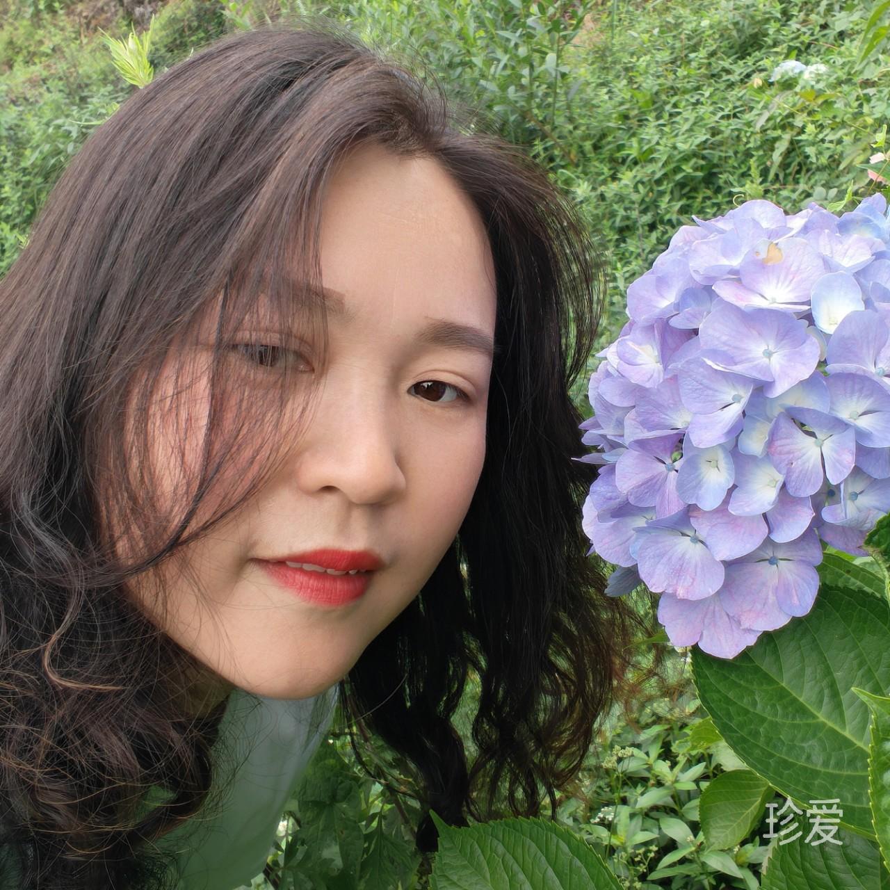 洋芋