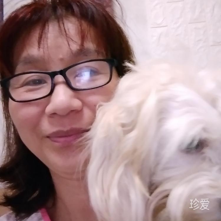 携子之手