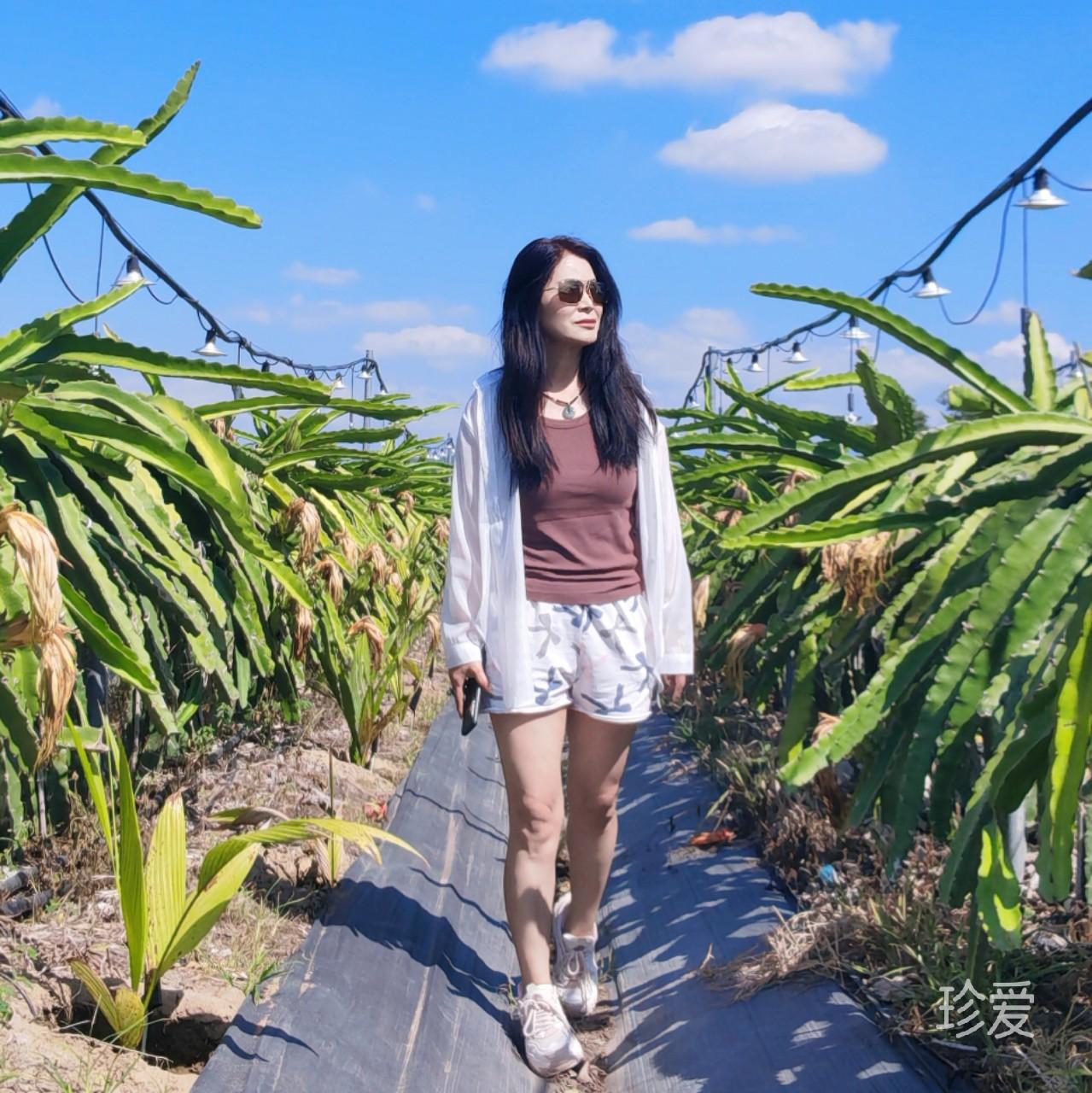 梅妮