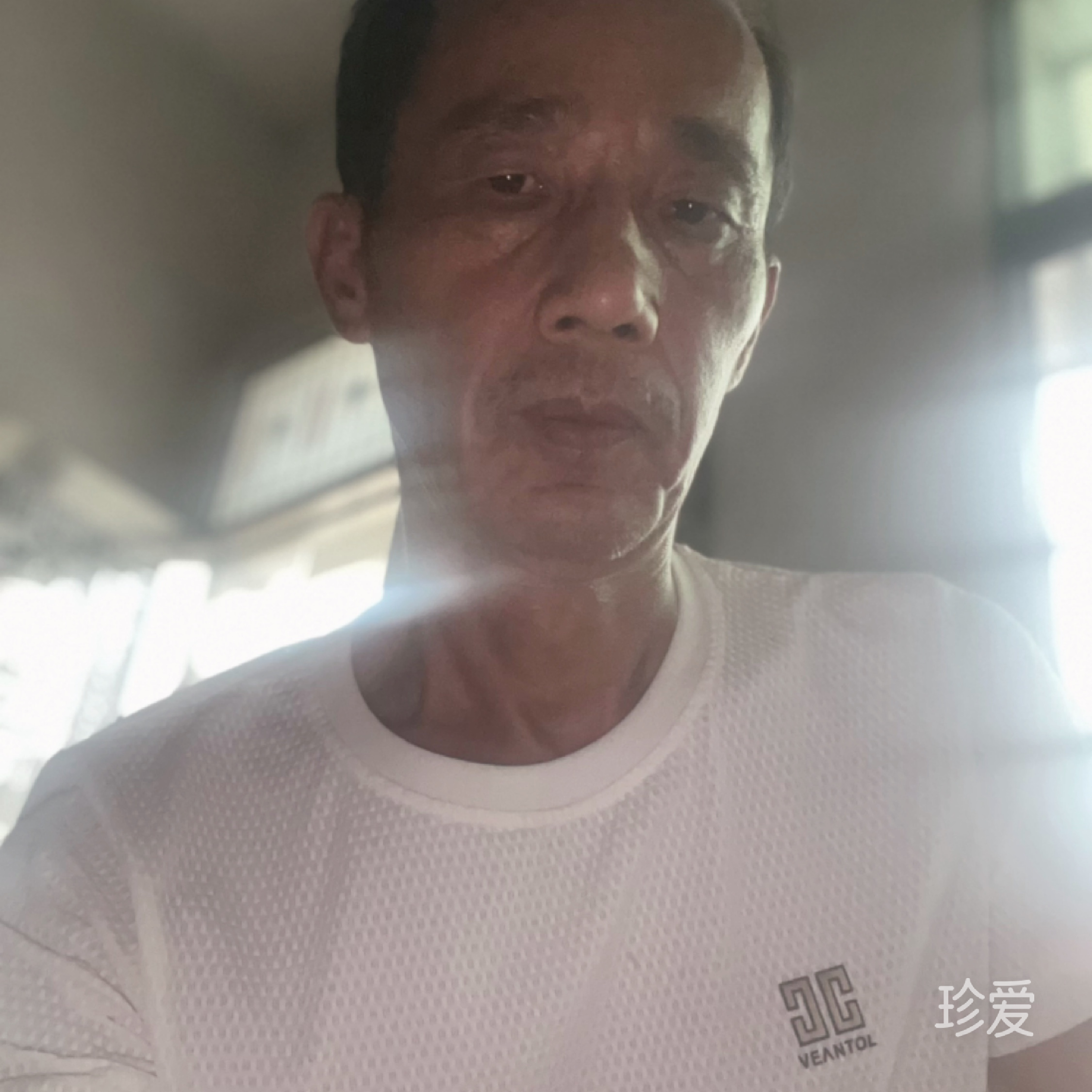 自由飞翔