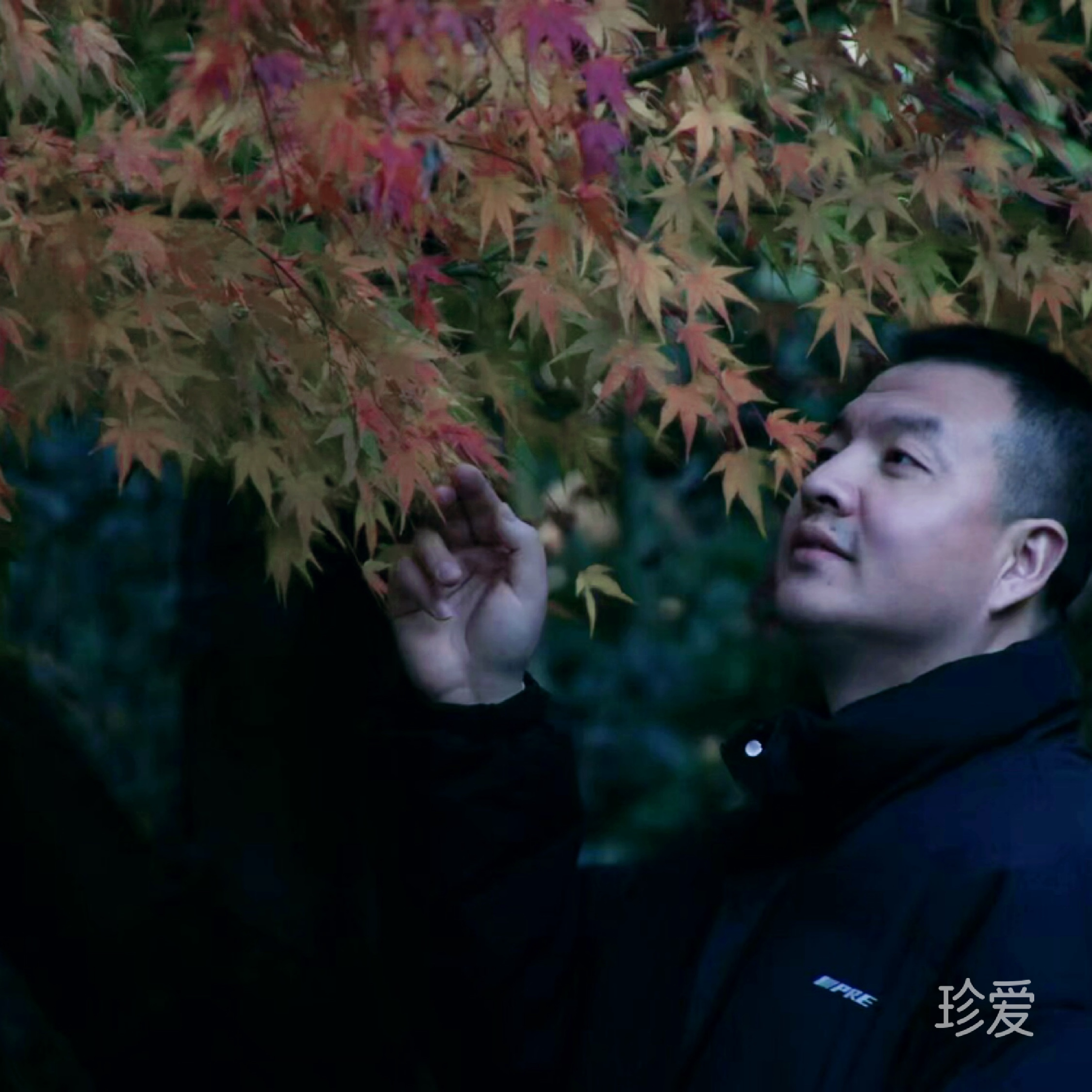 笑拥冷风