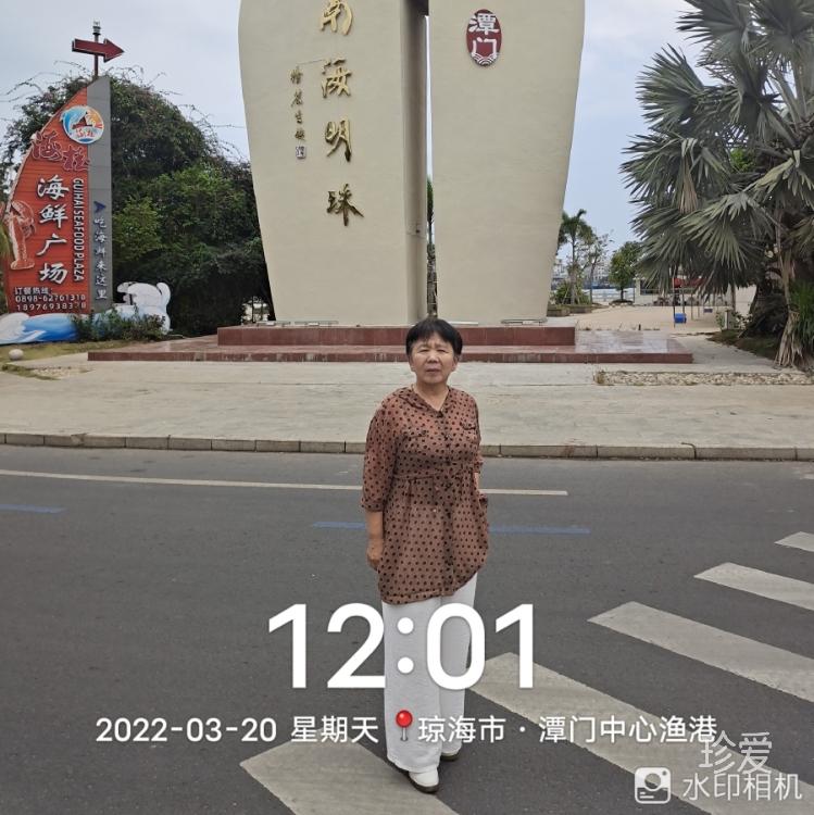 紫枫蓝雨