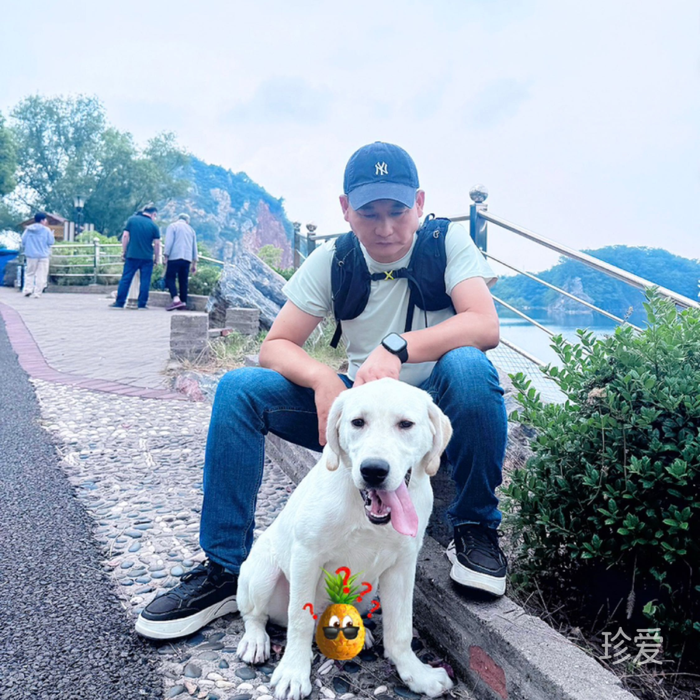 河豚岛的爬山佬