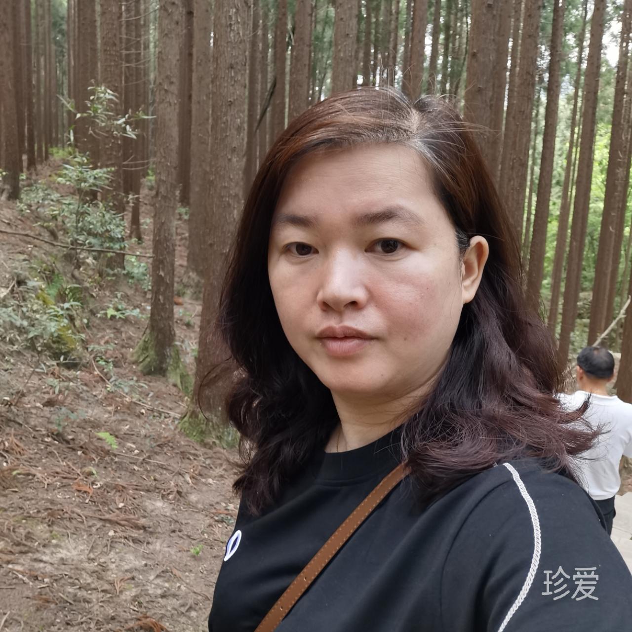 毛毛虫