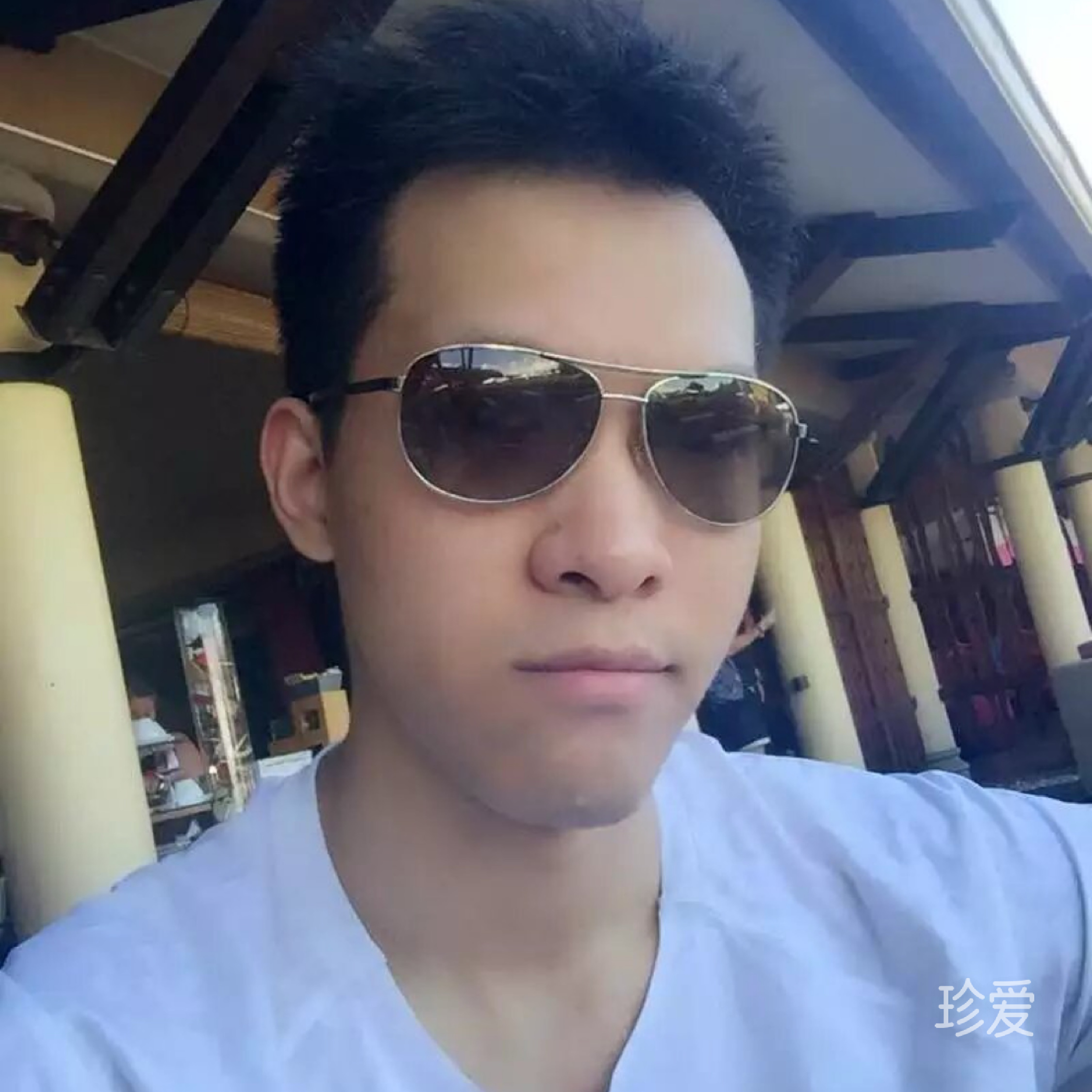 迷茫的风