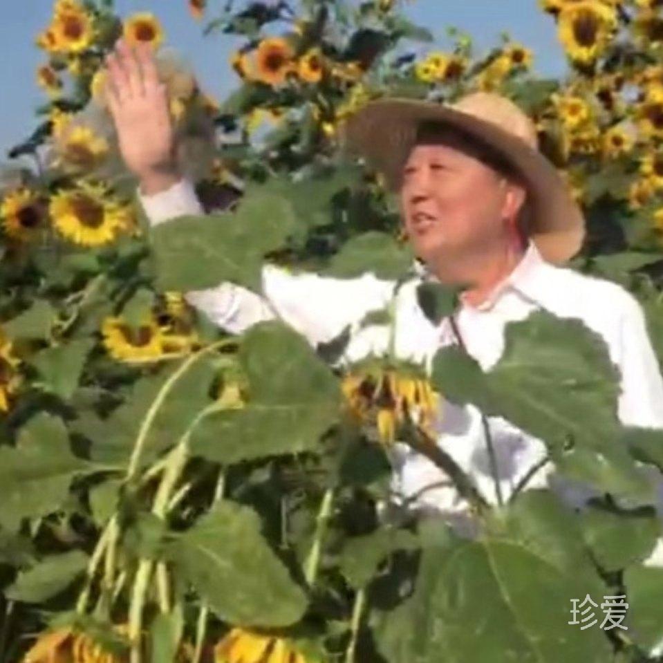 没有梦想何必远方