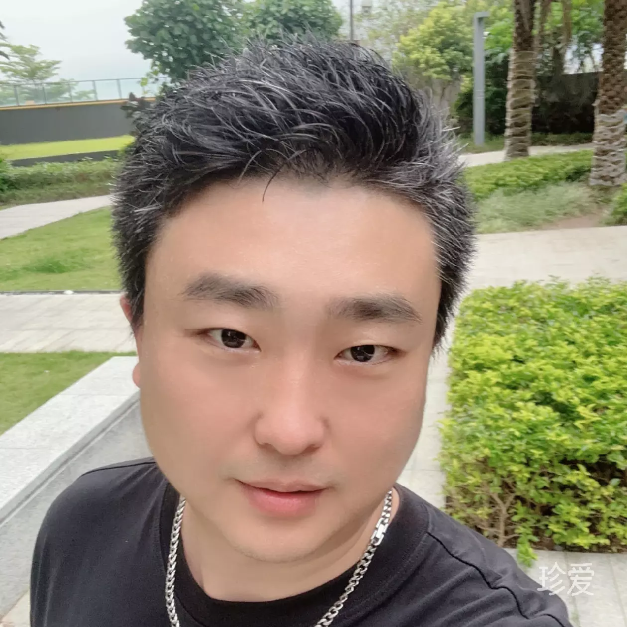 臨窗觀雨