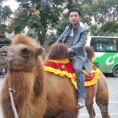 回憶拼好藏在心底