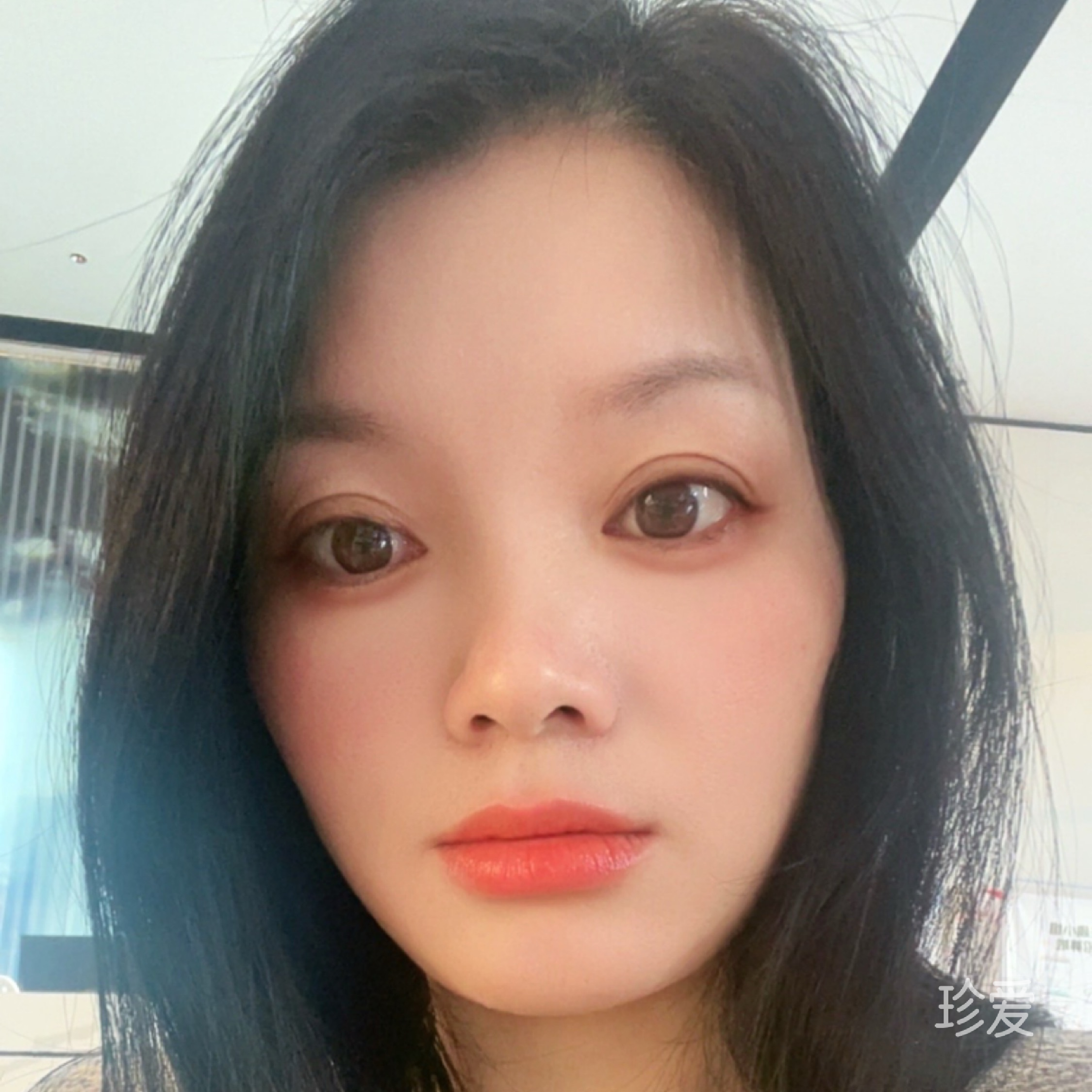 燕子