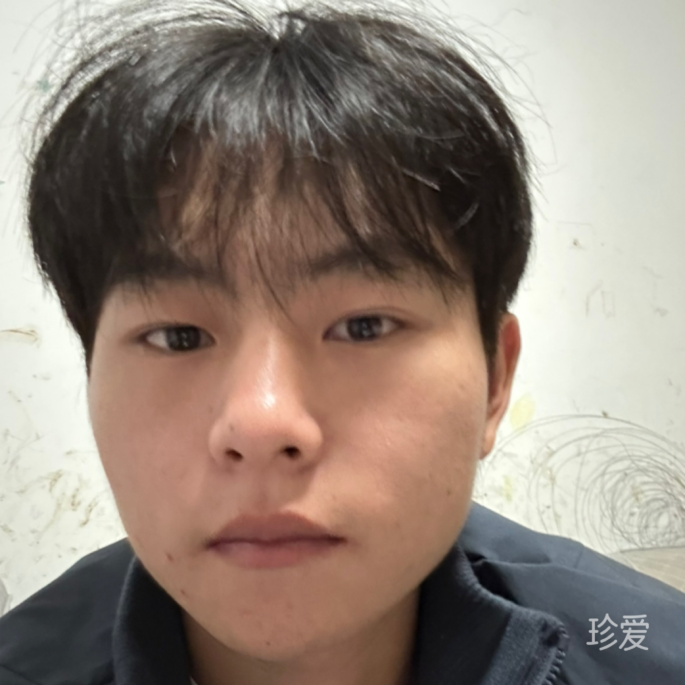 夢里尋她幾輪回