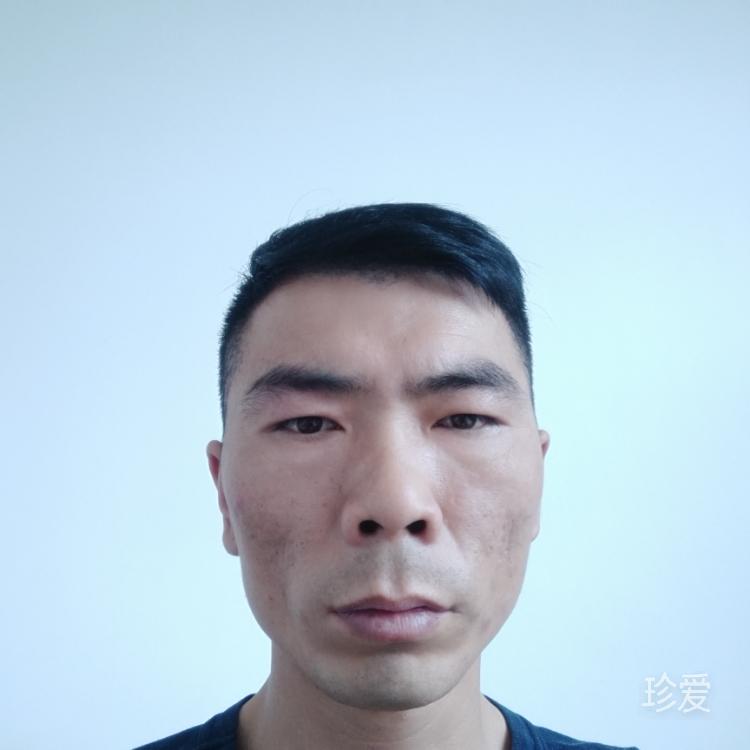 團(tuán)圓飯2024