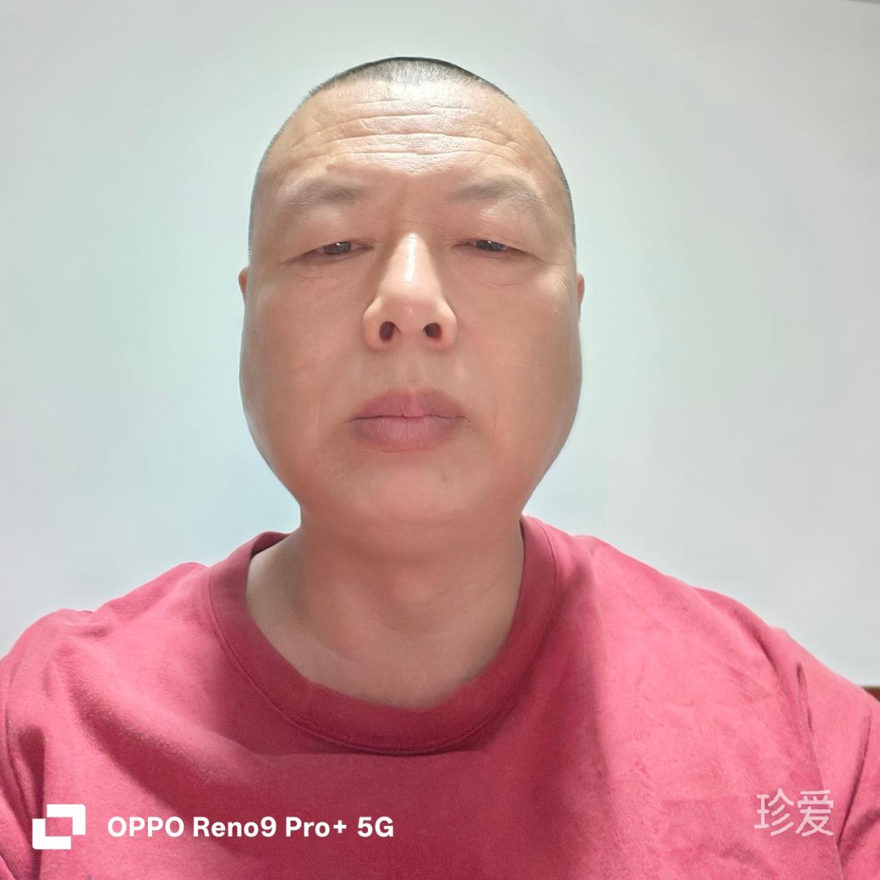 等待花开的蝴蝶