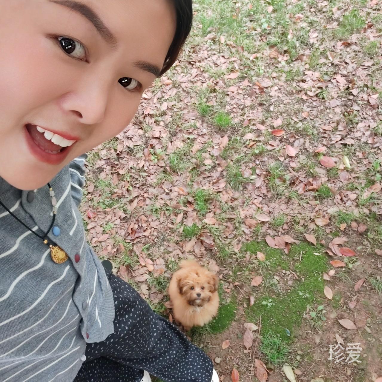 静静等待