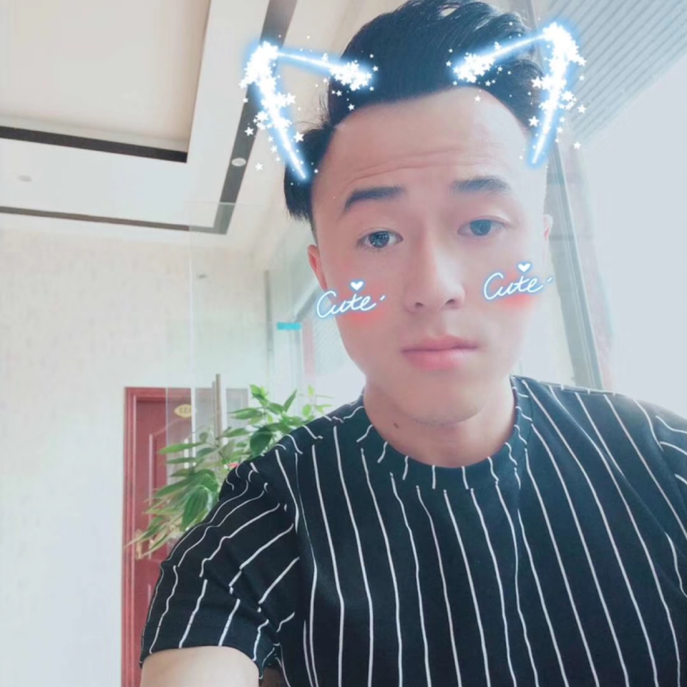 一片葉子的故事