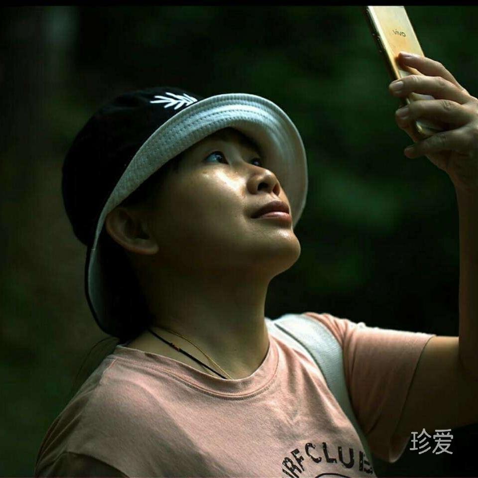 白菜