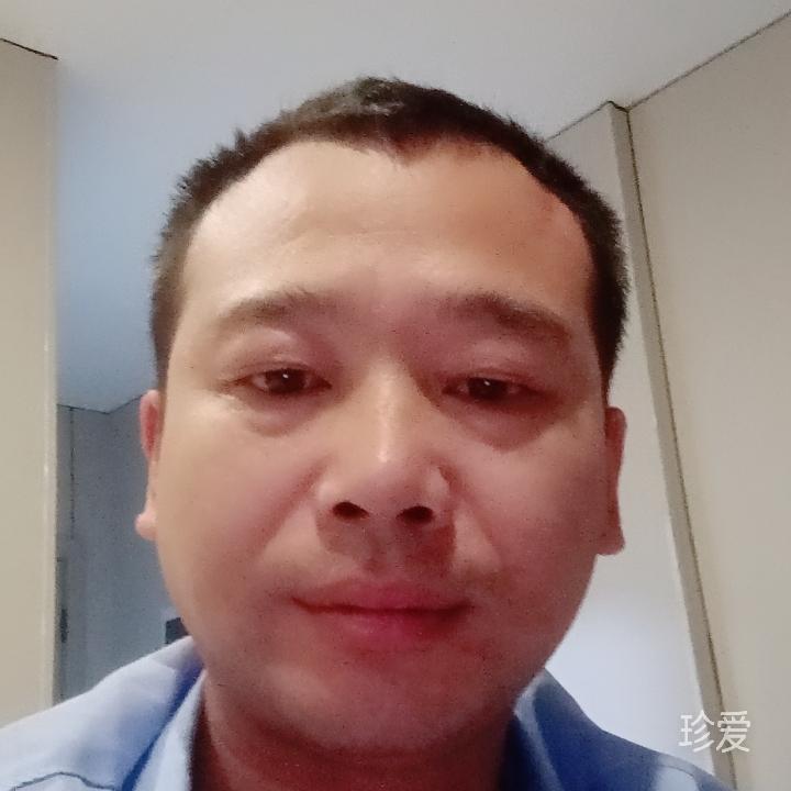 忧伤的鱼