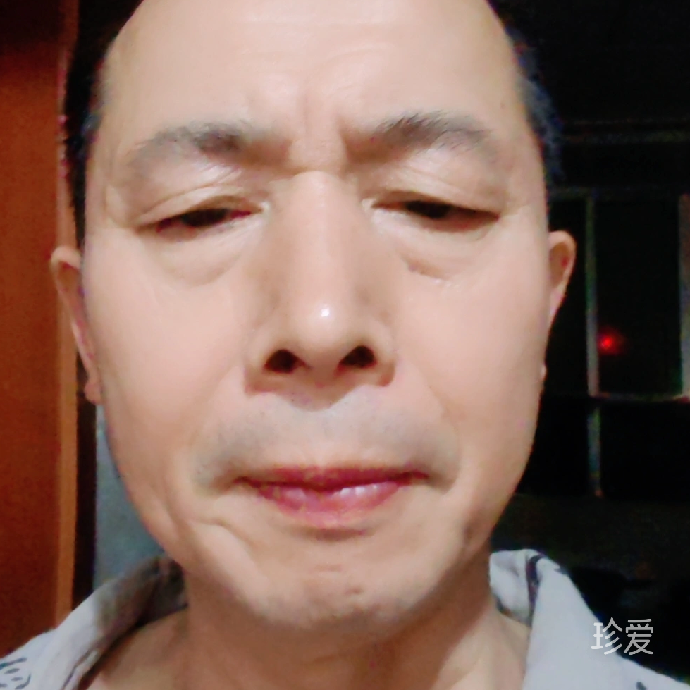 剑鱼在山上