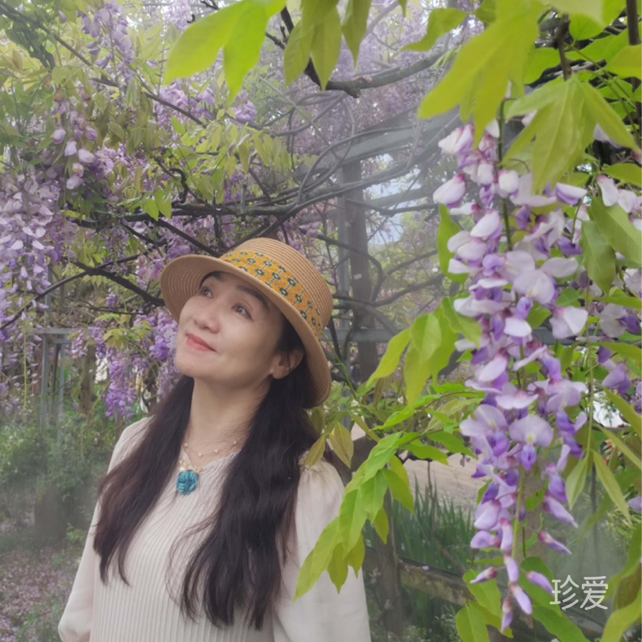 夕颜如画