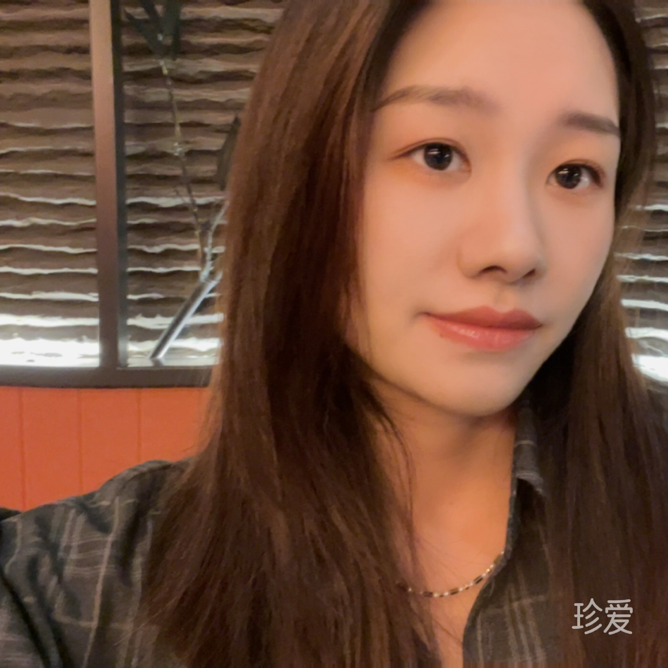 白菜菜