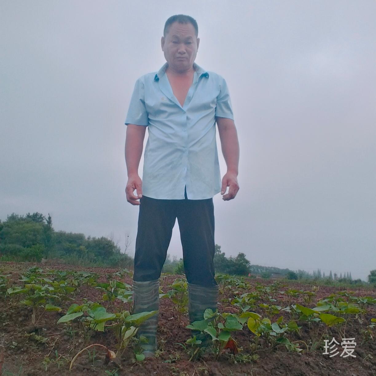 感动诗诚最高信仰