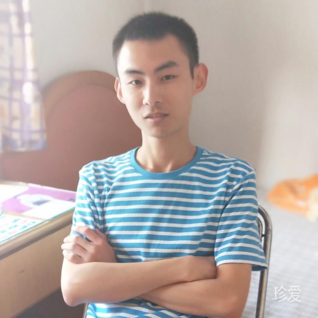 爱猫咪的石头