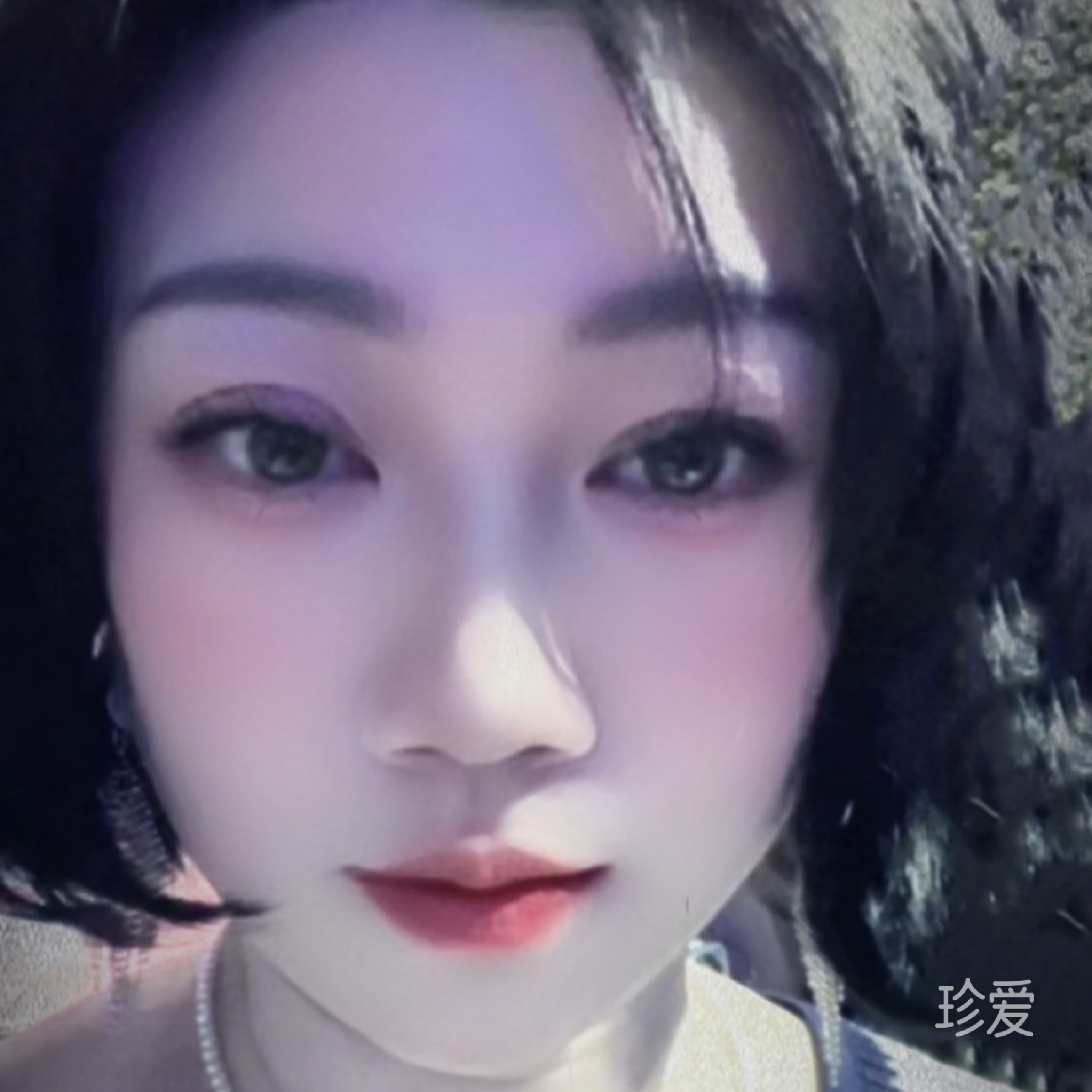 珍汐