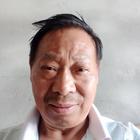 夢(mèng)林
