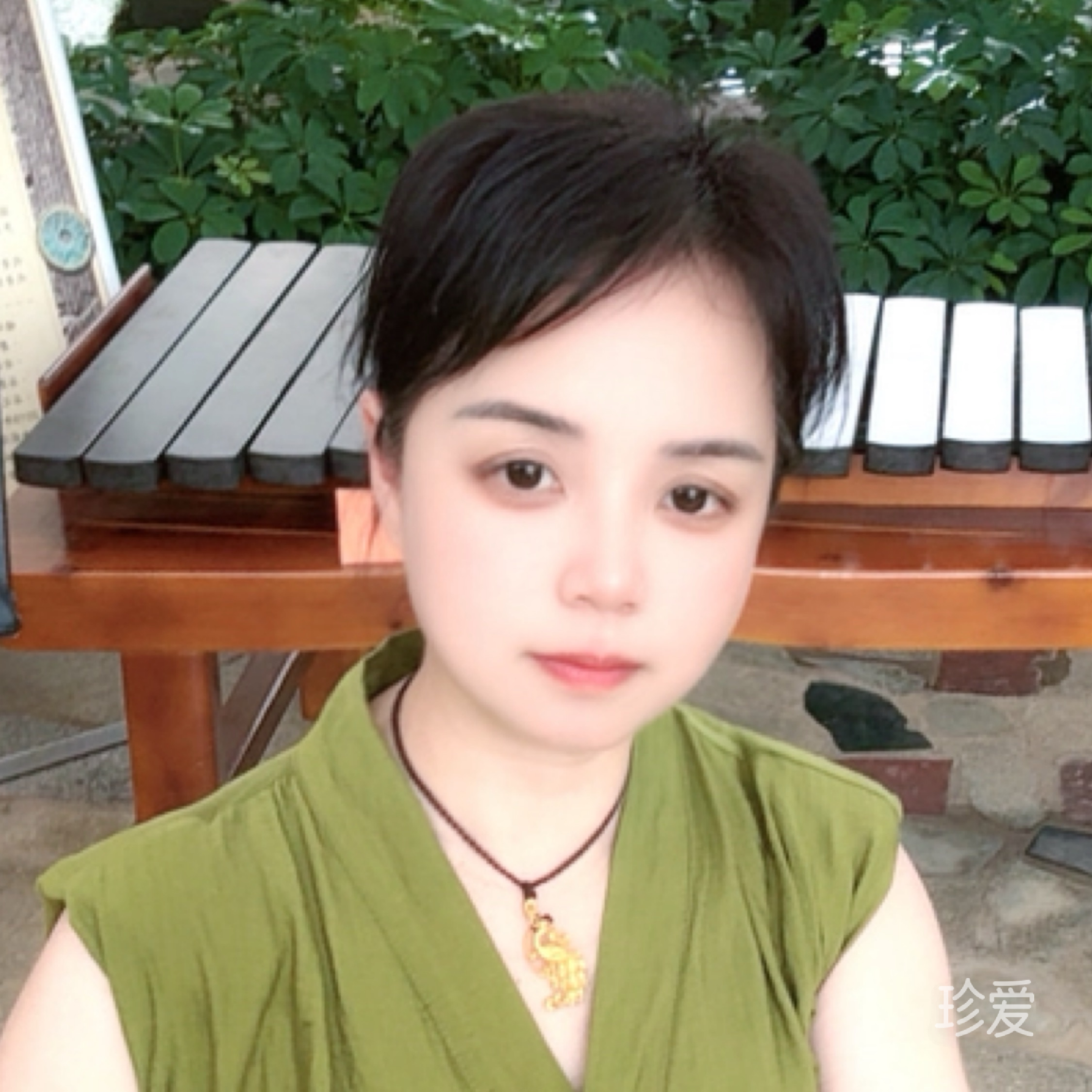 擎苍