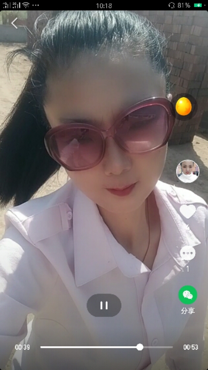 单飞的燕子185862