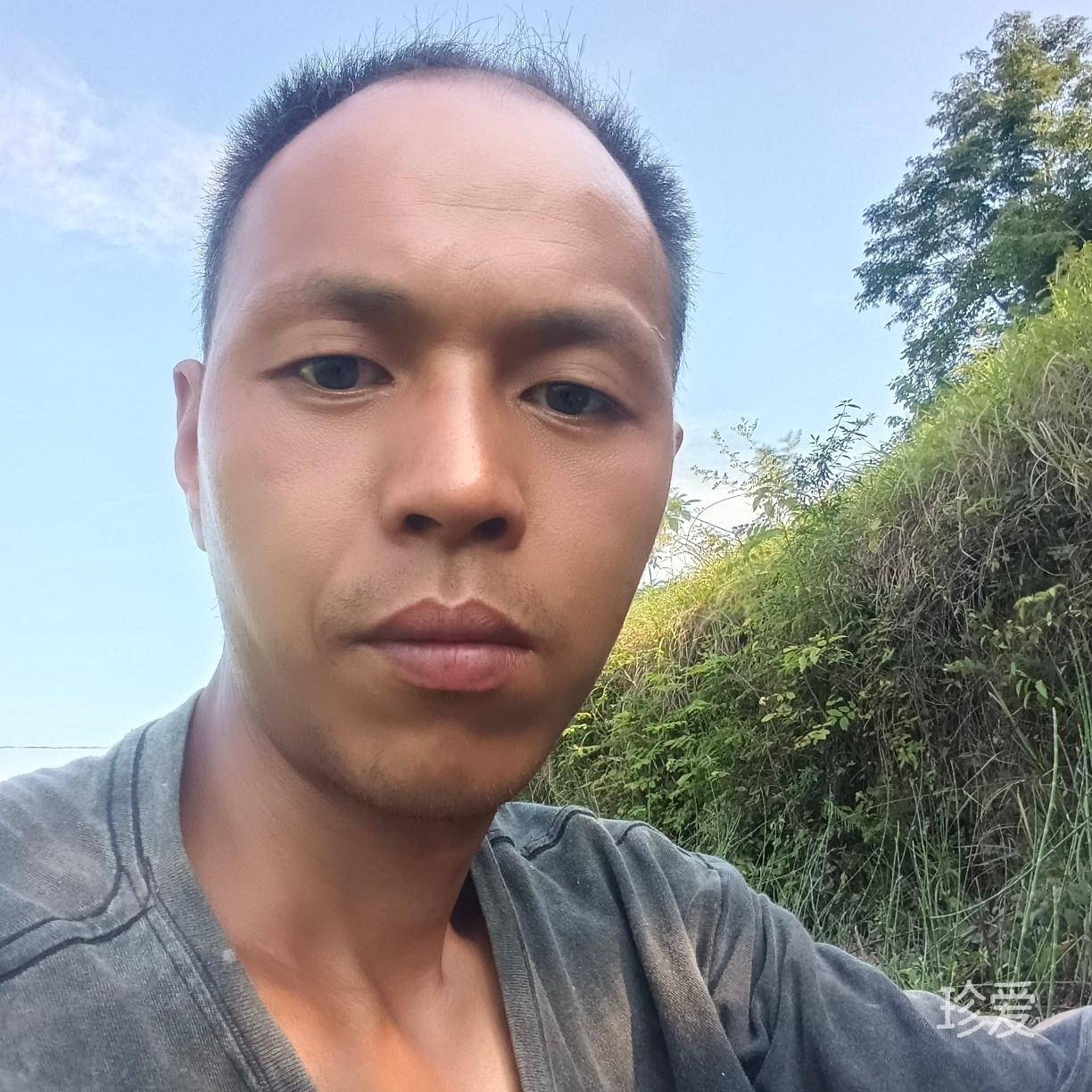 要爱就爱灰太狼