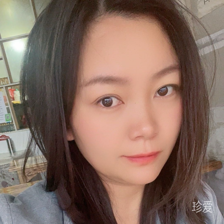 一枝寒梅