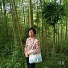 靈犀
