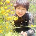 尋夢(mèng)兒
