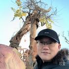 模糊視線