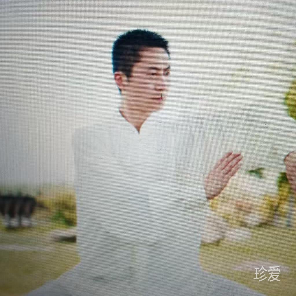 水葫芦