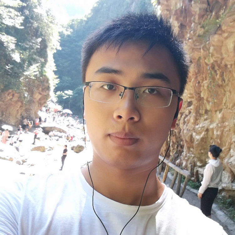 蚂蚁背大象