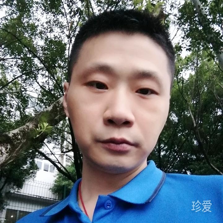 爱在天意