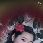 紫色慕蘭