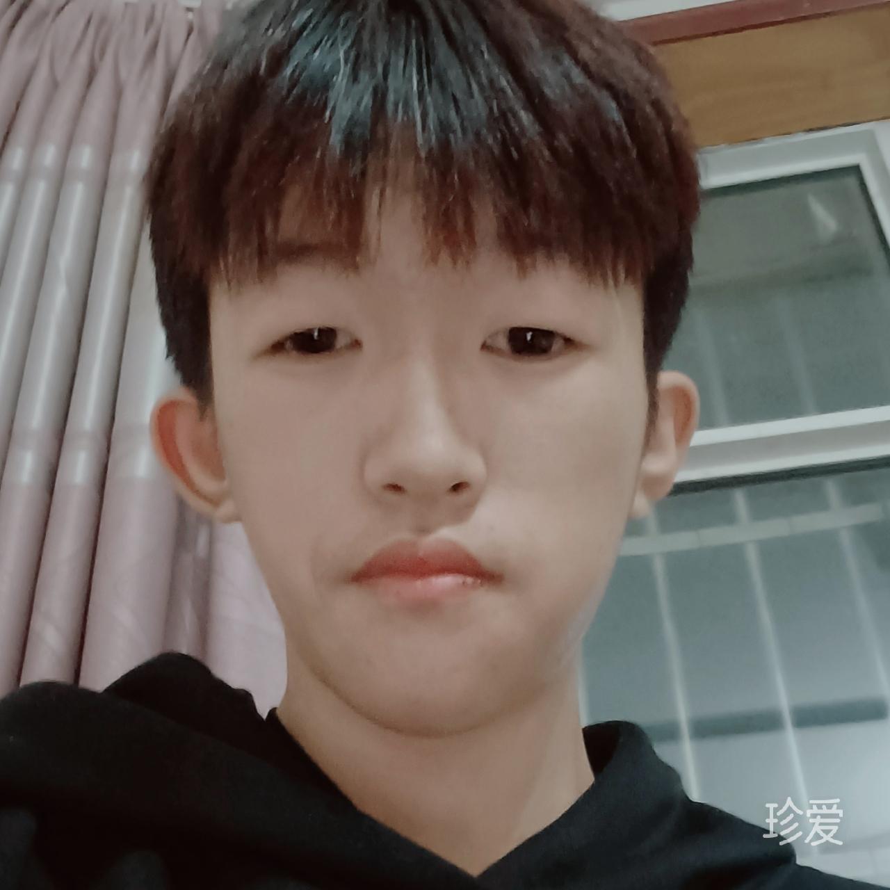 单身狗狗狗狗