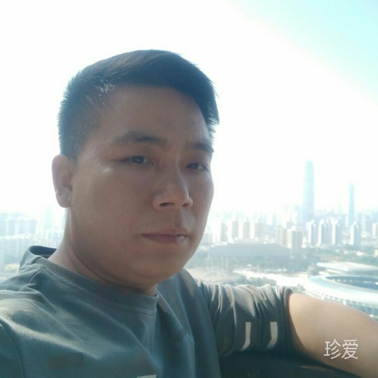 只做你的翅膀
