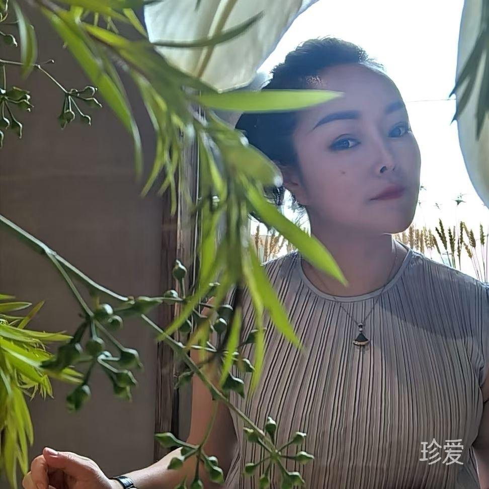 诗妍