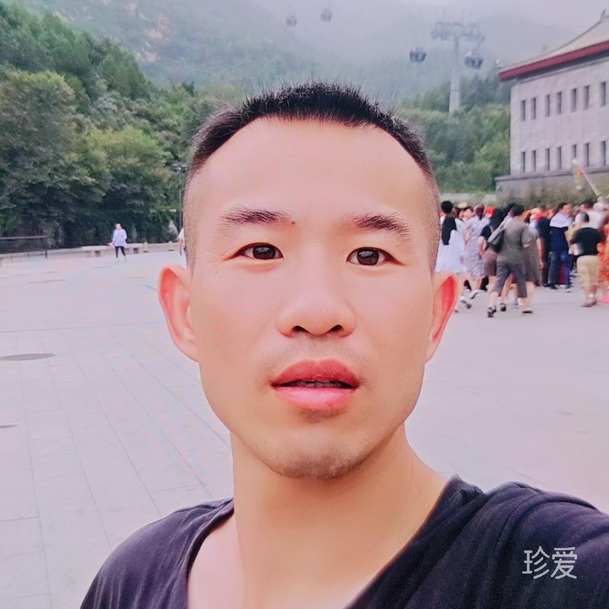 牧羊人9188