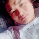 大漠嘯鷹