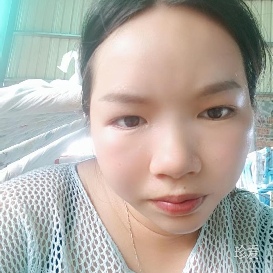 蔷薇紫陌