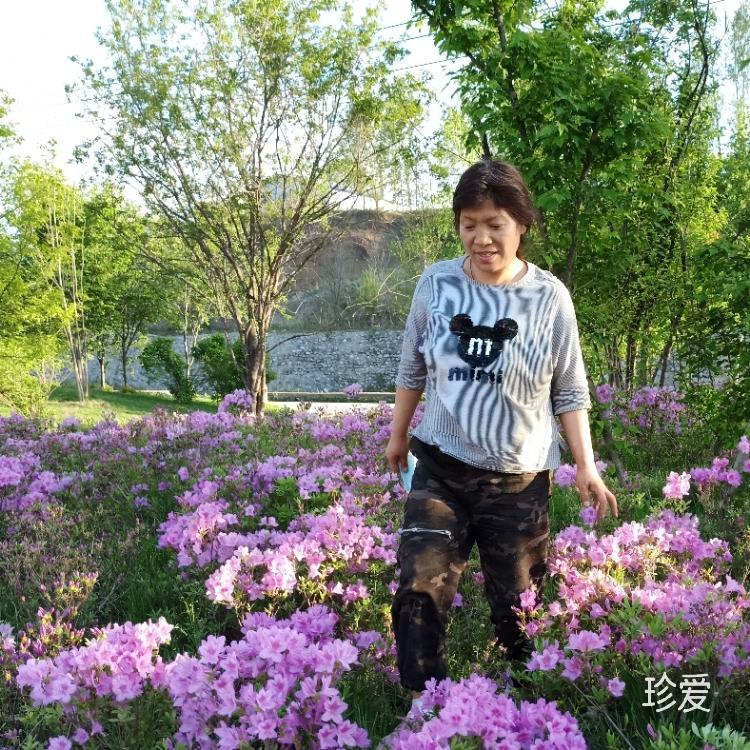 風(fēng)吹落了樹葉