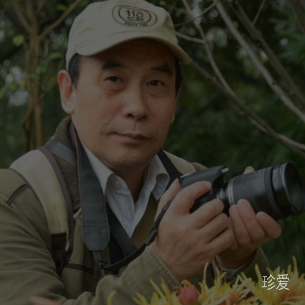 让你幸福