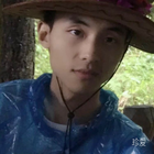 雨靡