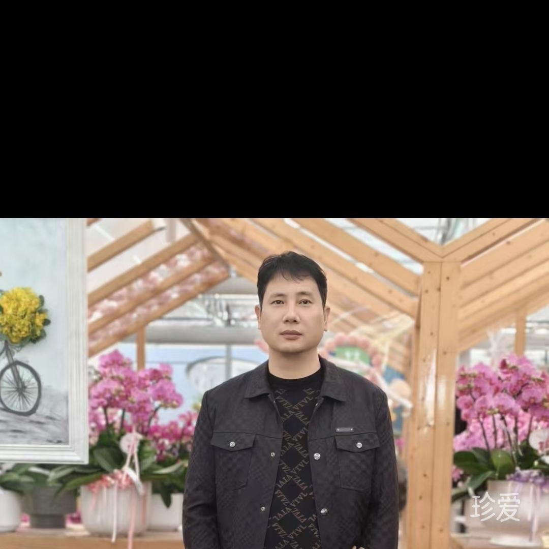 风花雪月