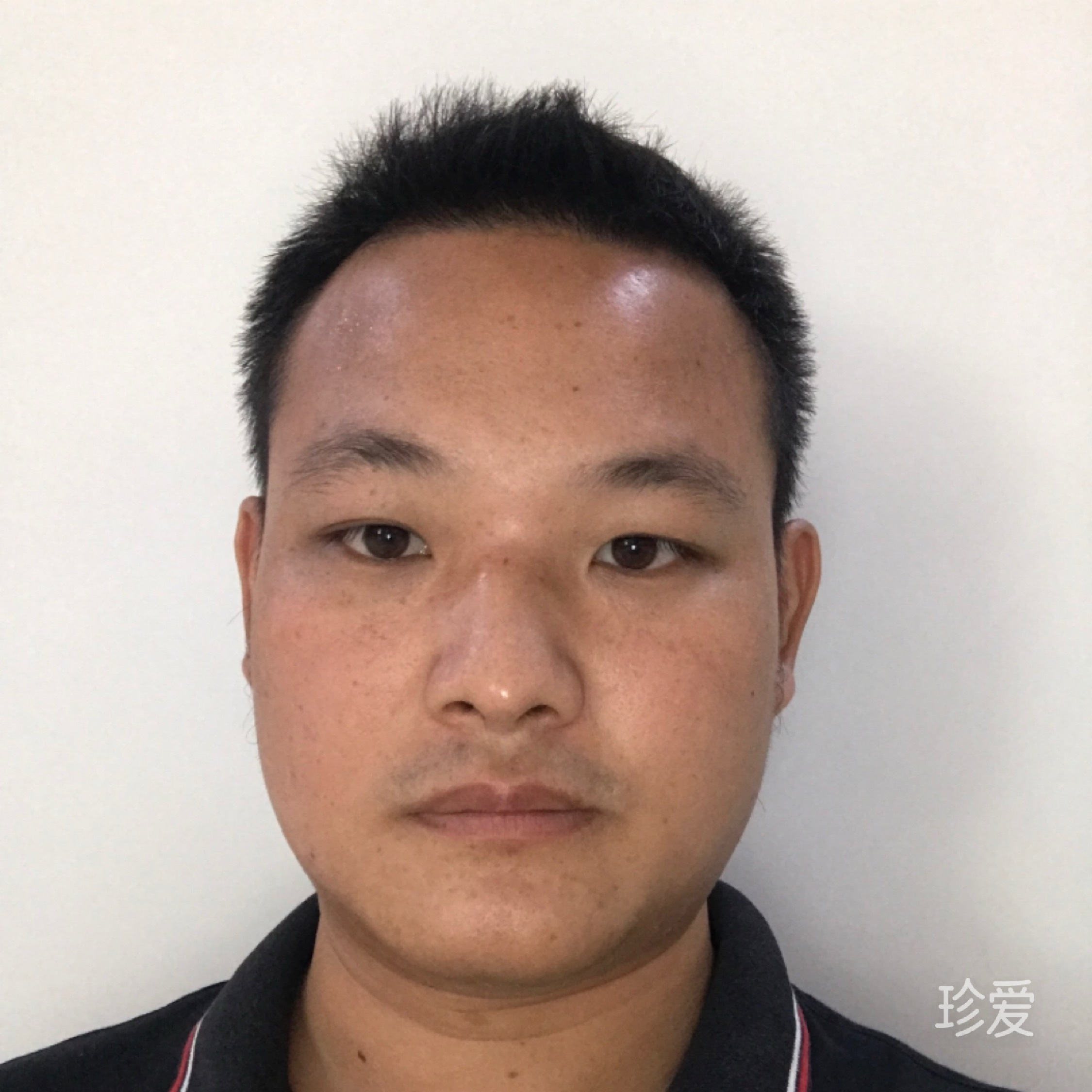 浅唱雾非雾